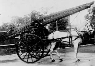 Black and white photo of an old fire horse and cart.